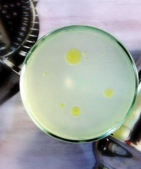 Gimlet con aceite de oliva
