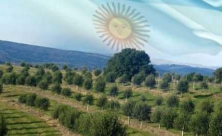 américa do sul-azeite-tempos-crise-na-argentina