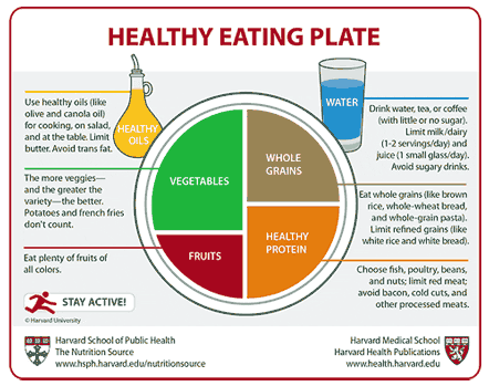 Qué es la dieta Harvard? ¿Qué alimentos recomienda?