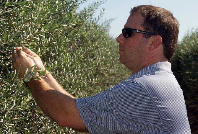 north-america-farm-bill-amendment-draws-attention-to-divided-industry-olive-oil-times-jason-shaw