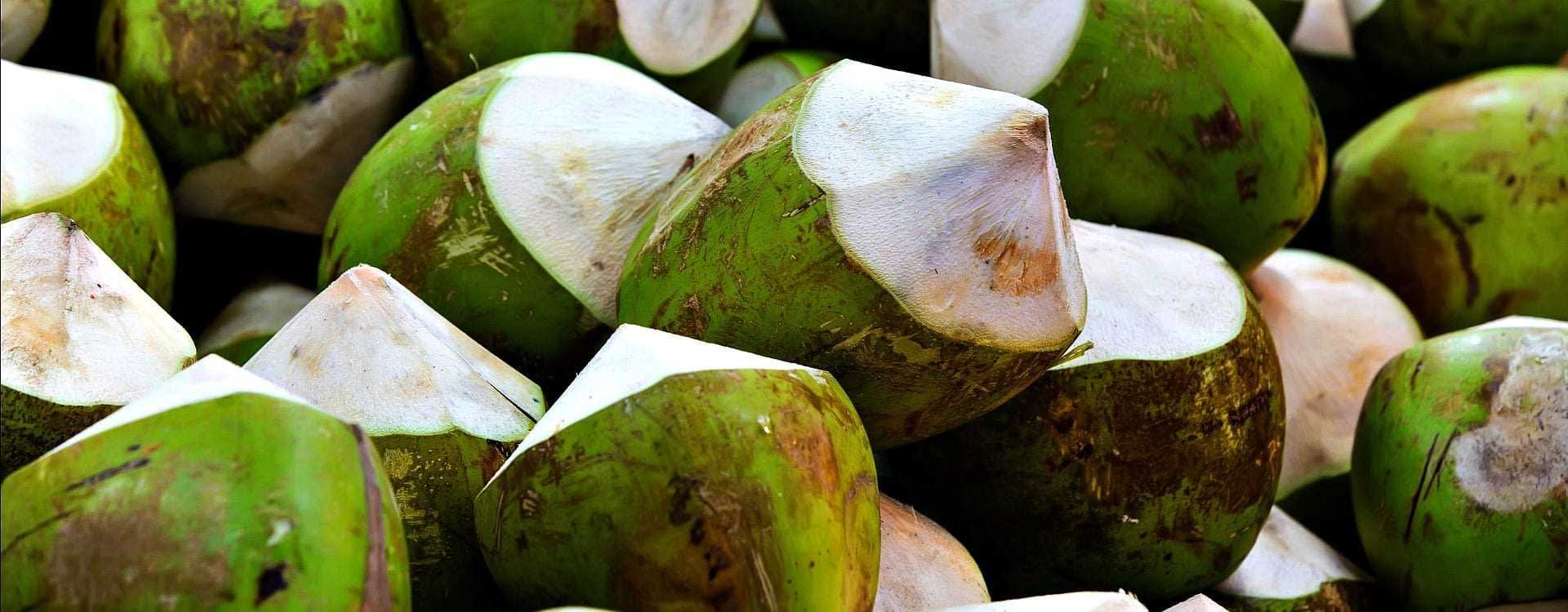 Puede el aceite de coco, lleno de grasas saturadas, ser bueno para la  salud? - BBC News Mundo