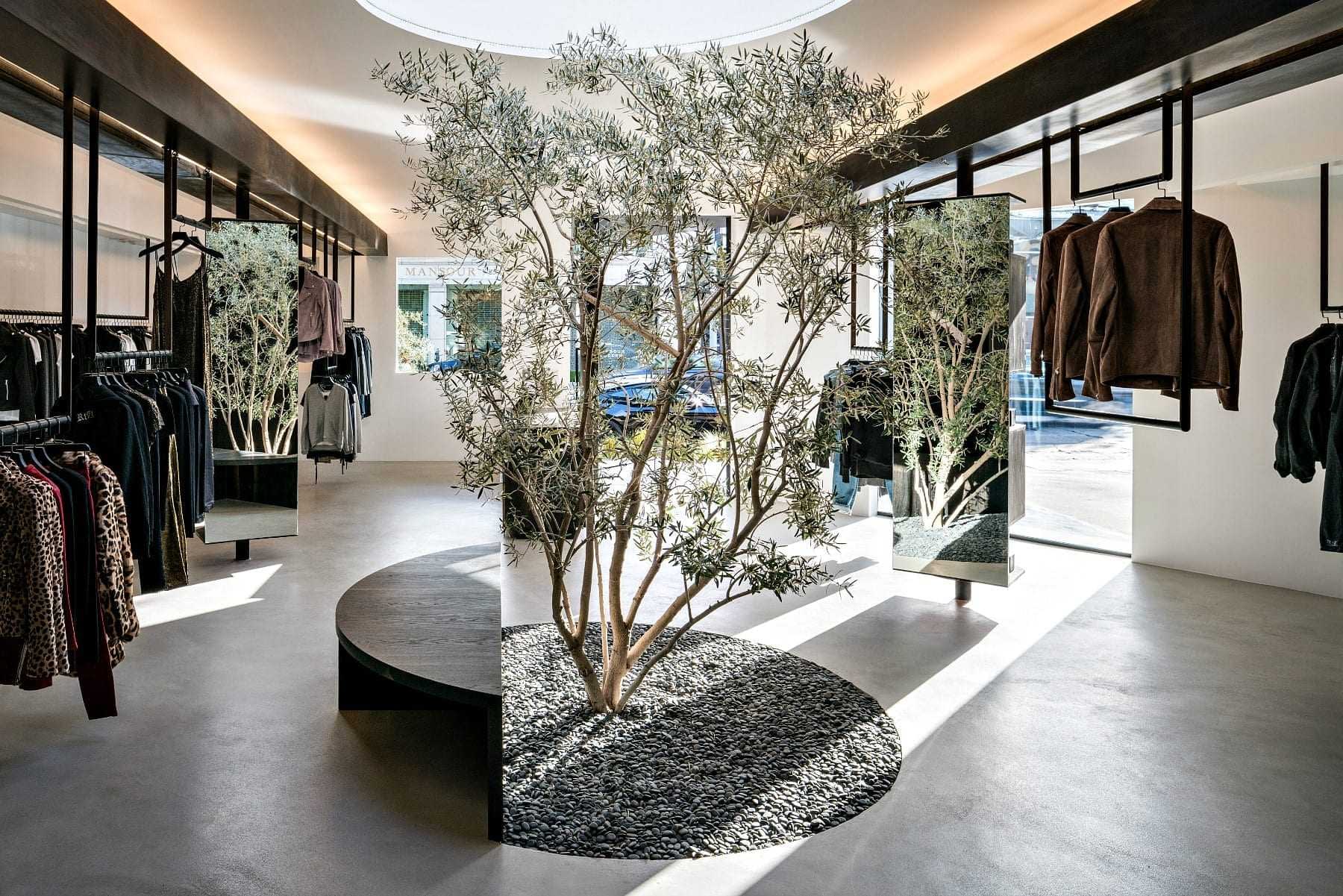 An Olive Tree Takes Center Stage in L.A. Boutique Olive Oil Times