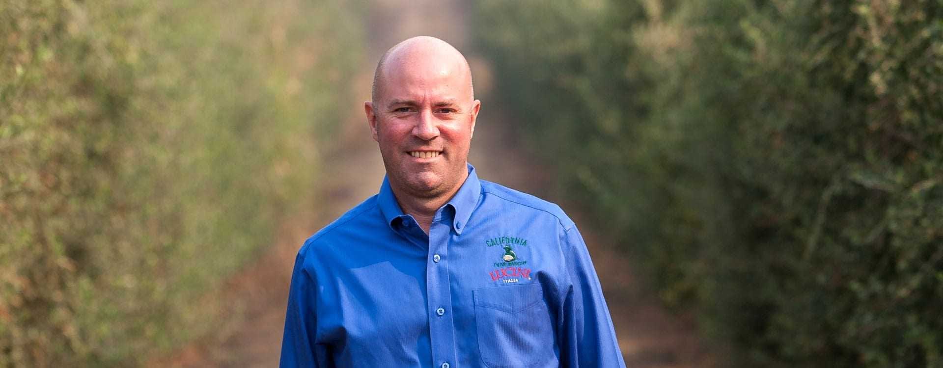 California Olive Ranch Defying Tradition Olive Oil Times