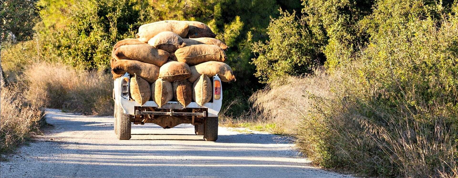 Greece's Backroad 'Bulk' Olive Oil Trade - Olive Oil Times