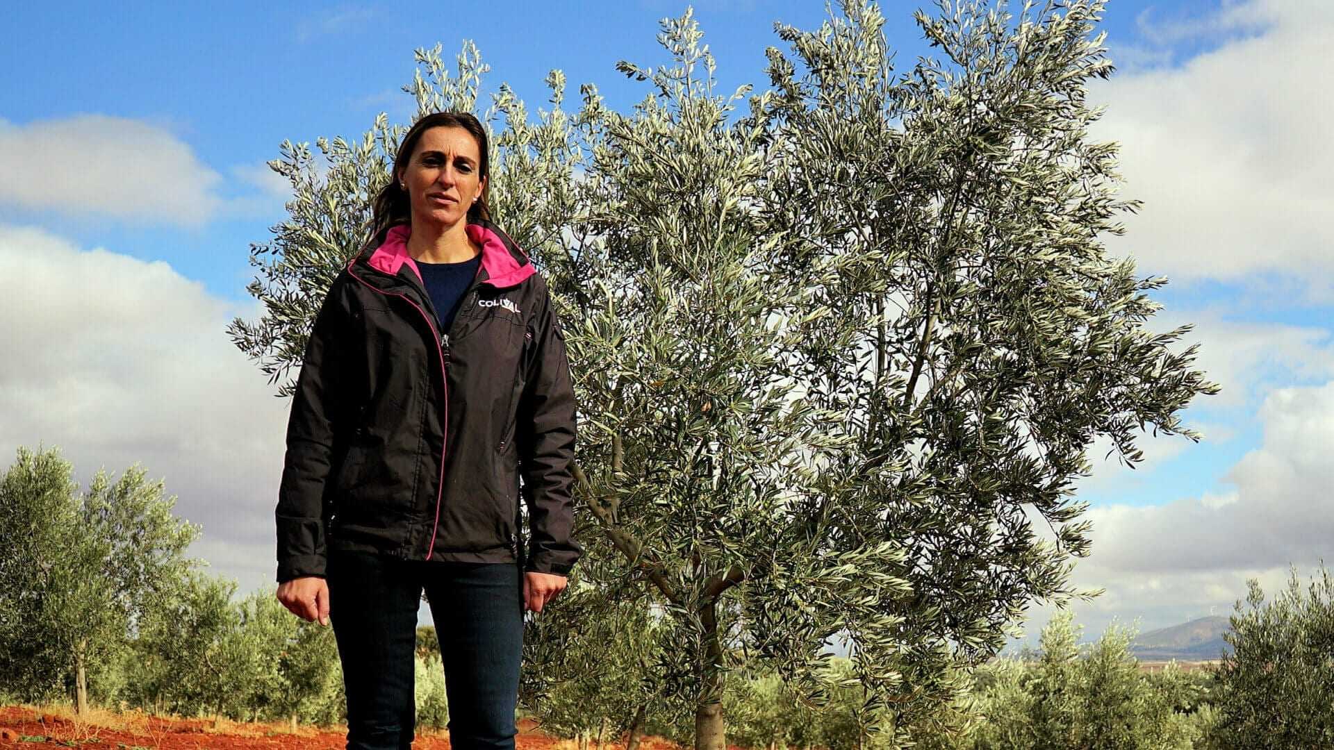 the-best-olive-oils-competitions-production-europe-undeterred-by-drought-producers-across-spain-achieve-awardwinning-quality-olive-oil-times