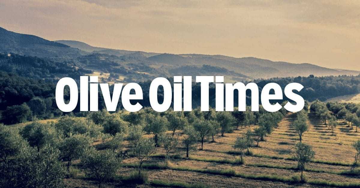 Olive Oil Basics - Olive Oil Times