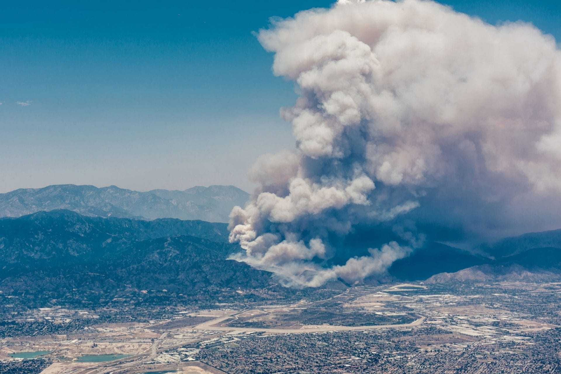 business-north-america-harvest-underway-in-california-amid-historic-wildfires-covid-concerns-olive-oil-times