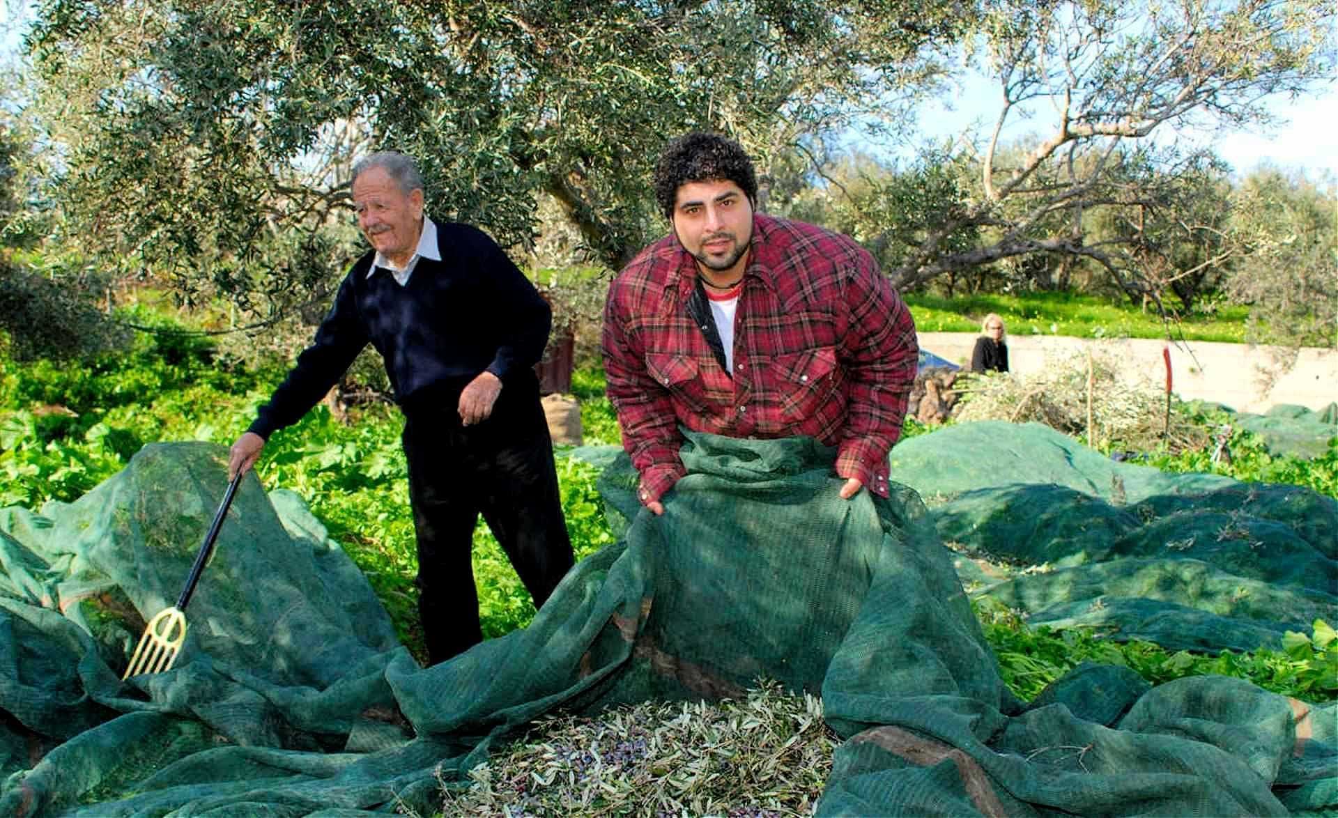 In Record Haul, 99 Greek Brands Awarded at World Olive Oil