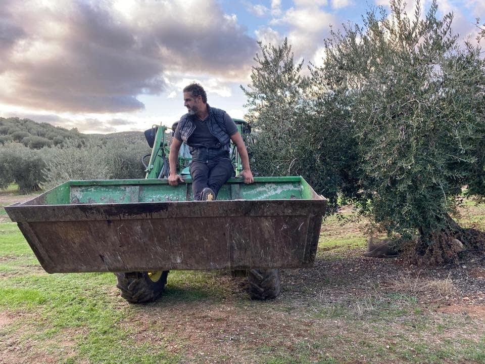 the-best-olive-oils-competitions-production-africa-middle-east-best-year-yet-for-tunisian-producers-at-world-competition-olive-oil-times