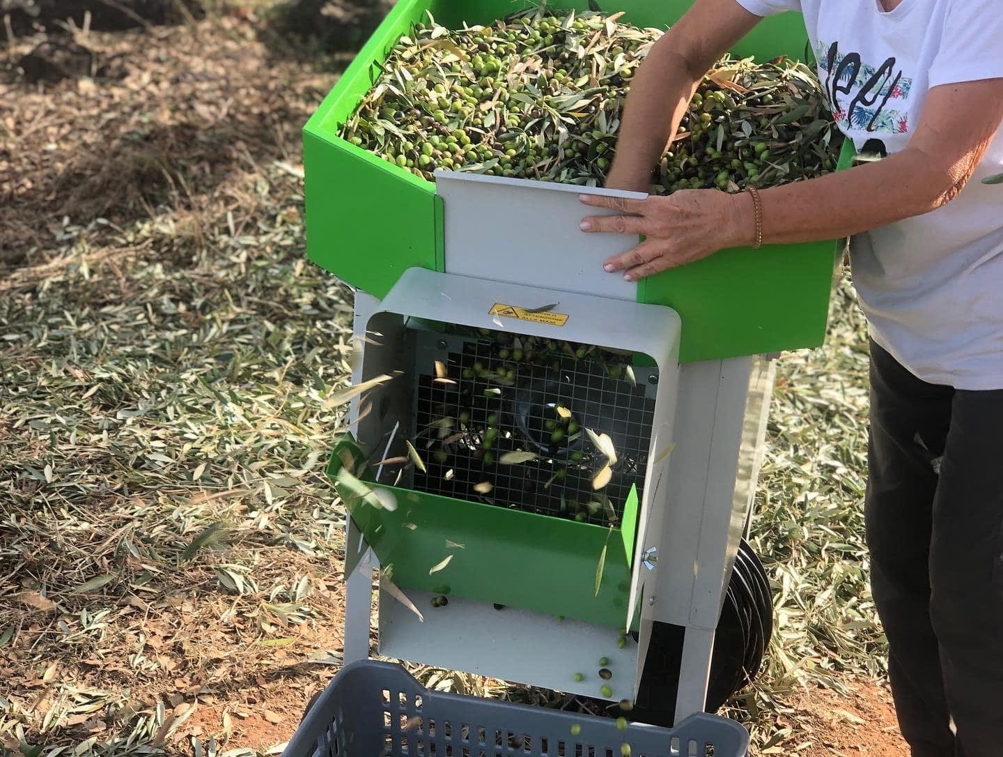 the-best-olive-oils-competitions-production-europe-in-portugal-a-tough-season-ends-with-stronger-determination-olive-oil-times