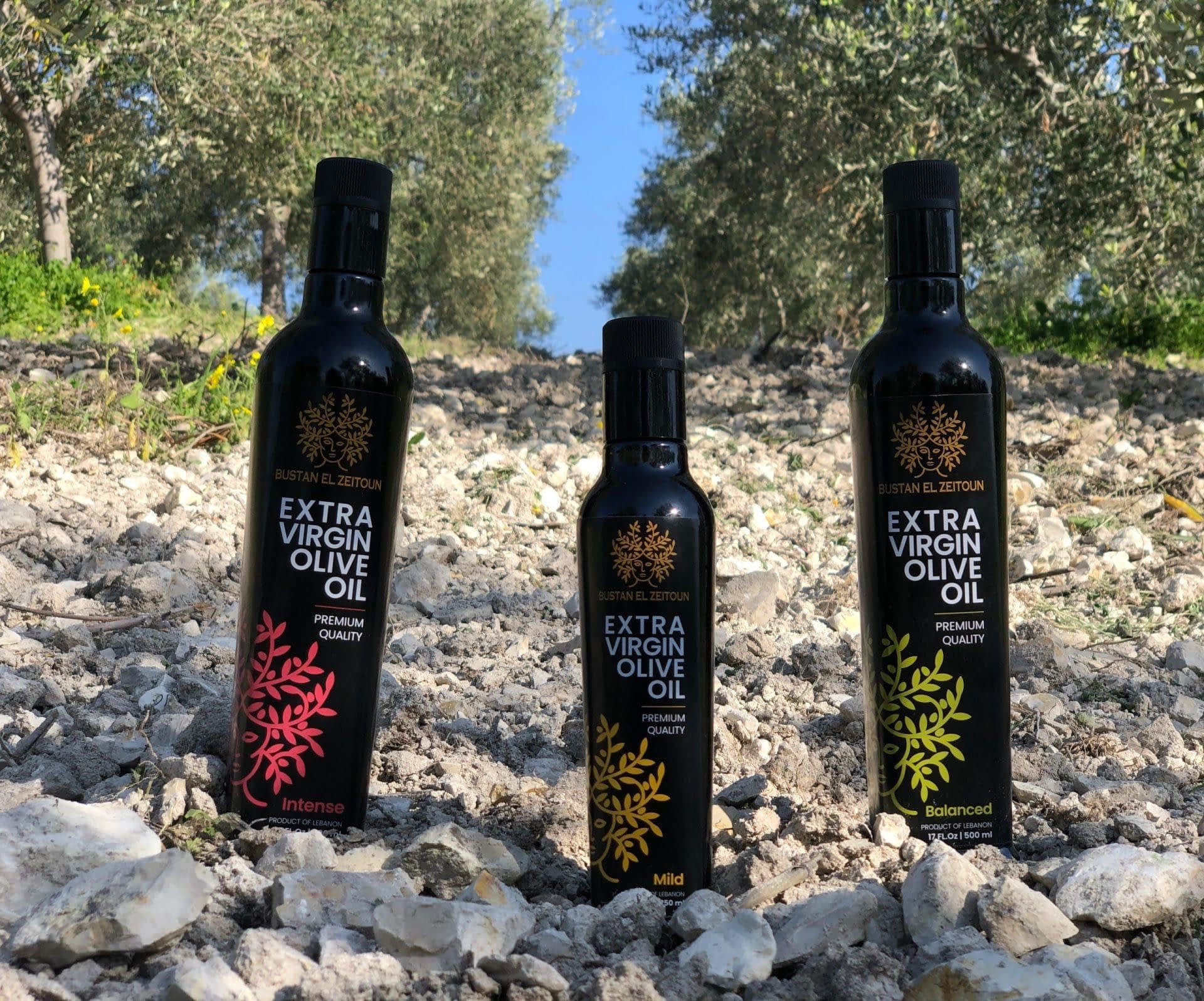 profiles-the-best-olive-oils-production-africa-middle-east-nurturing-italian-cultivars-in-olive-trees-historic-home-olive-oil-times