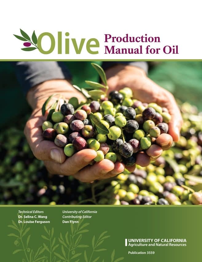 briefs-production-university-of-california-releases-manual-on-growing-olives-for-oil-production-olive-oil-times