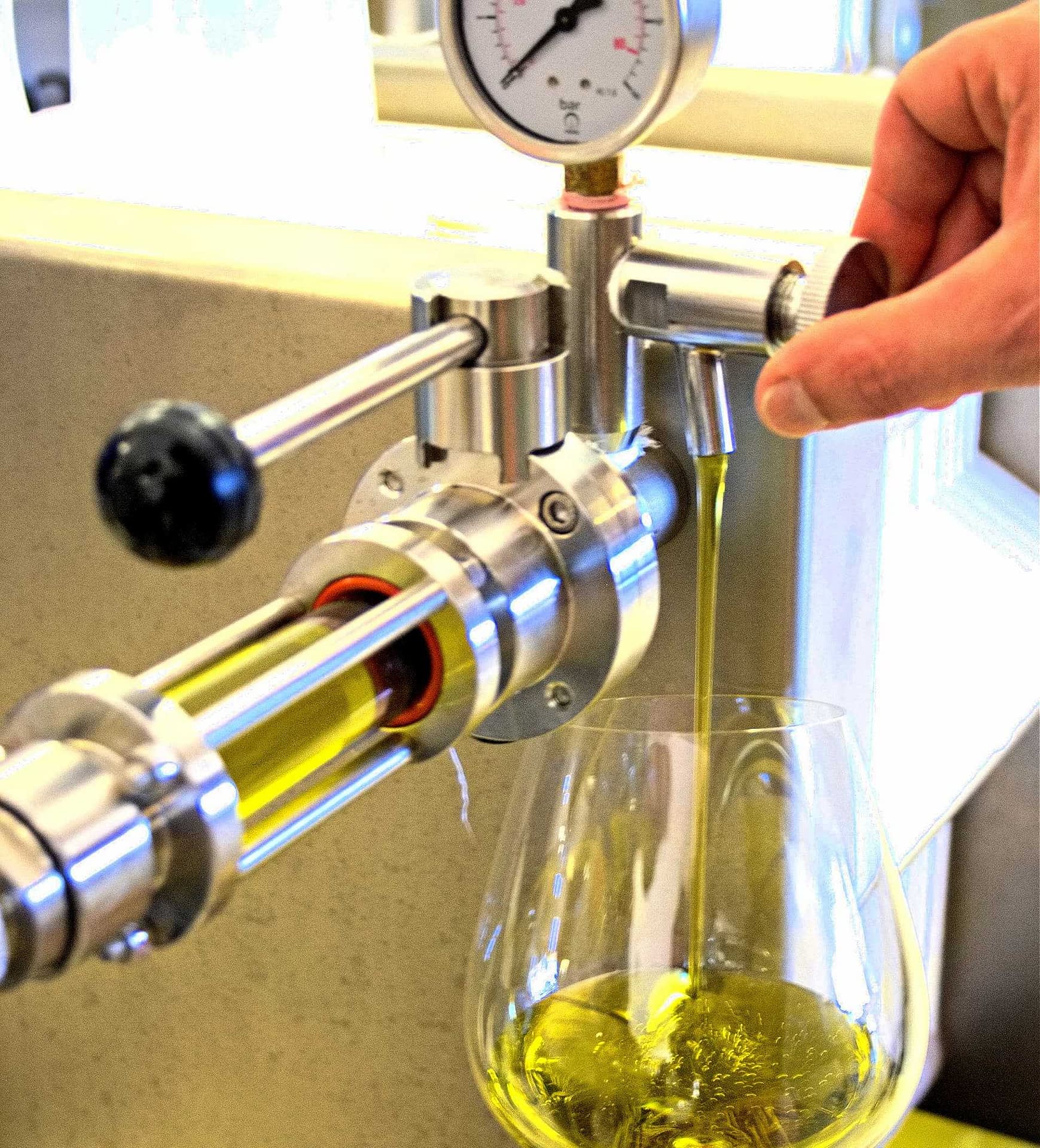 basics-aceite-de-oliva-filtrado-o-sin-filtrar-una-elección-para-los-consumidores-aceite-de-oliva-times