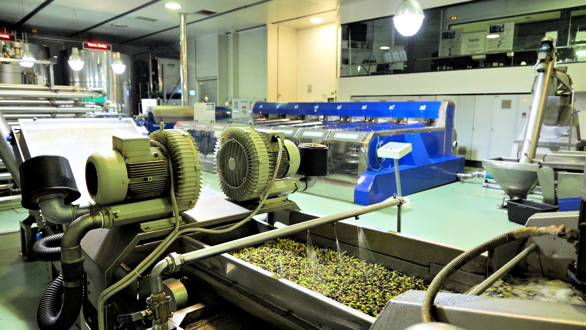 profile-die-beste-olivenölproduktion-der-kretische-produzent-der-nichts-dem-zufall-olivenölzeiten-überlässt