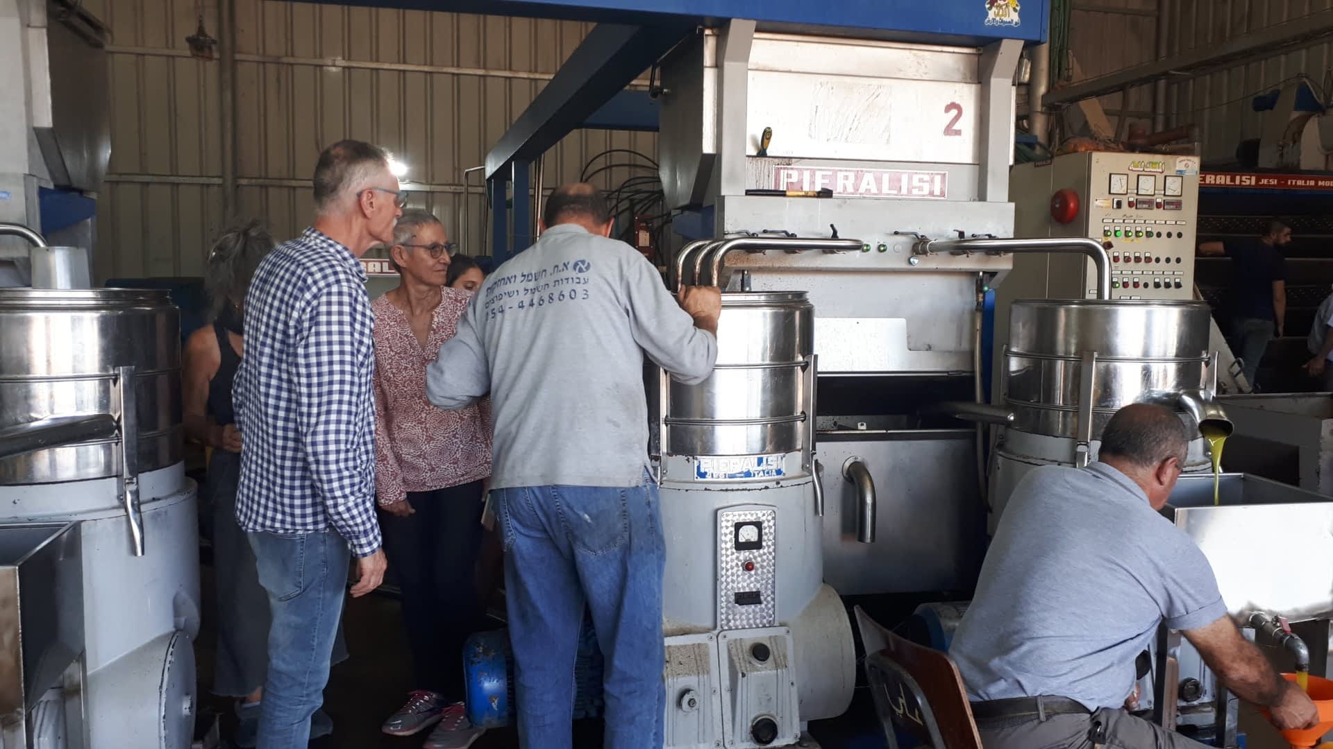 profiles-africa-middle-east-bringing-palestinians-and-israelis-together-through-olive-oil-production-olive-oil-times