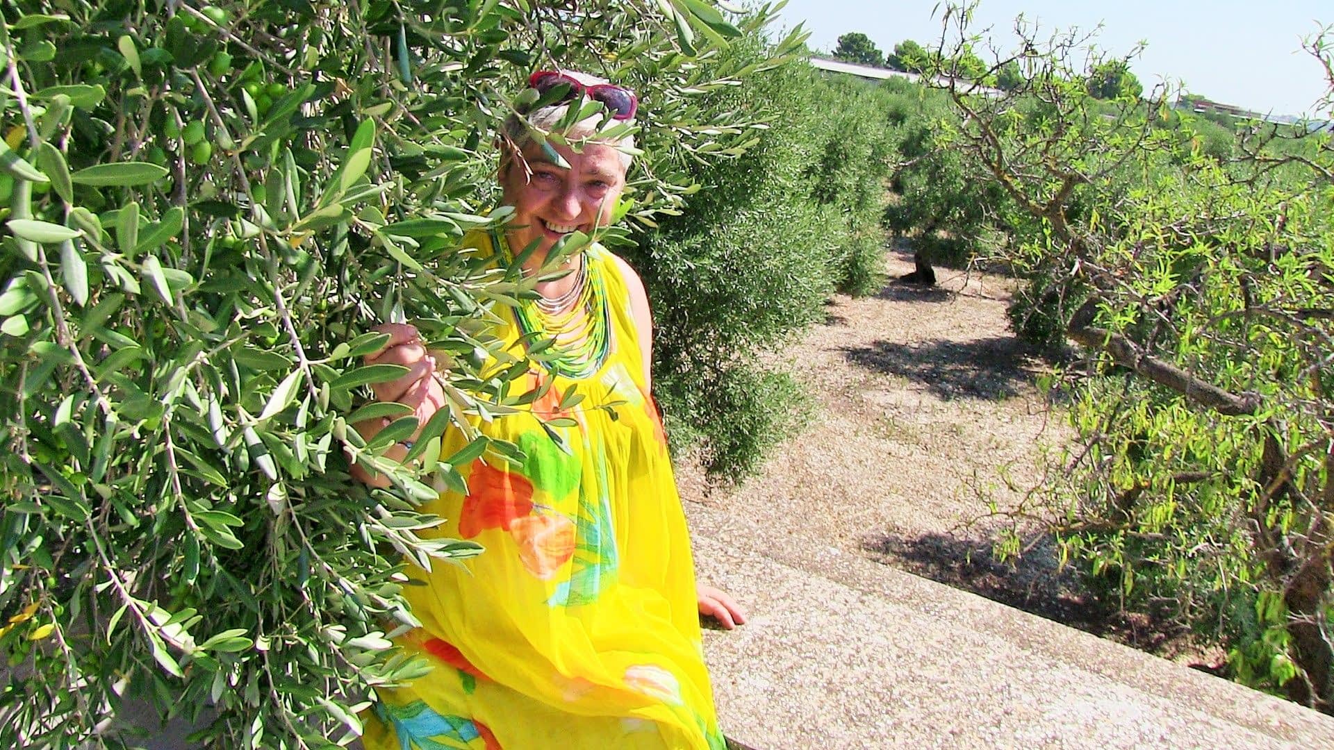 最好的橄榄油生产竞赛欧洲关怀承诺是意大利南部生产商成功的背后nyiooc橄榄油时间