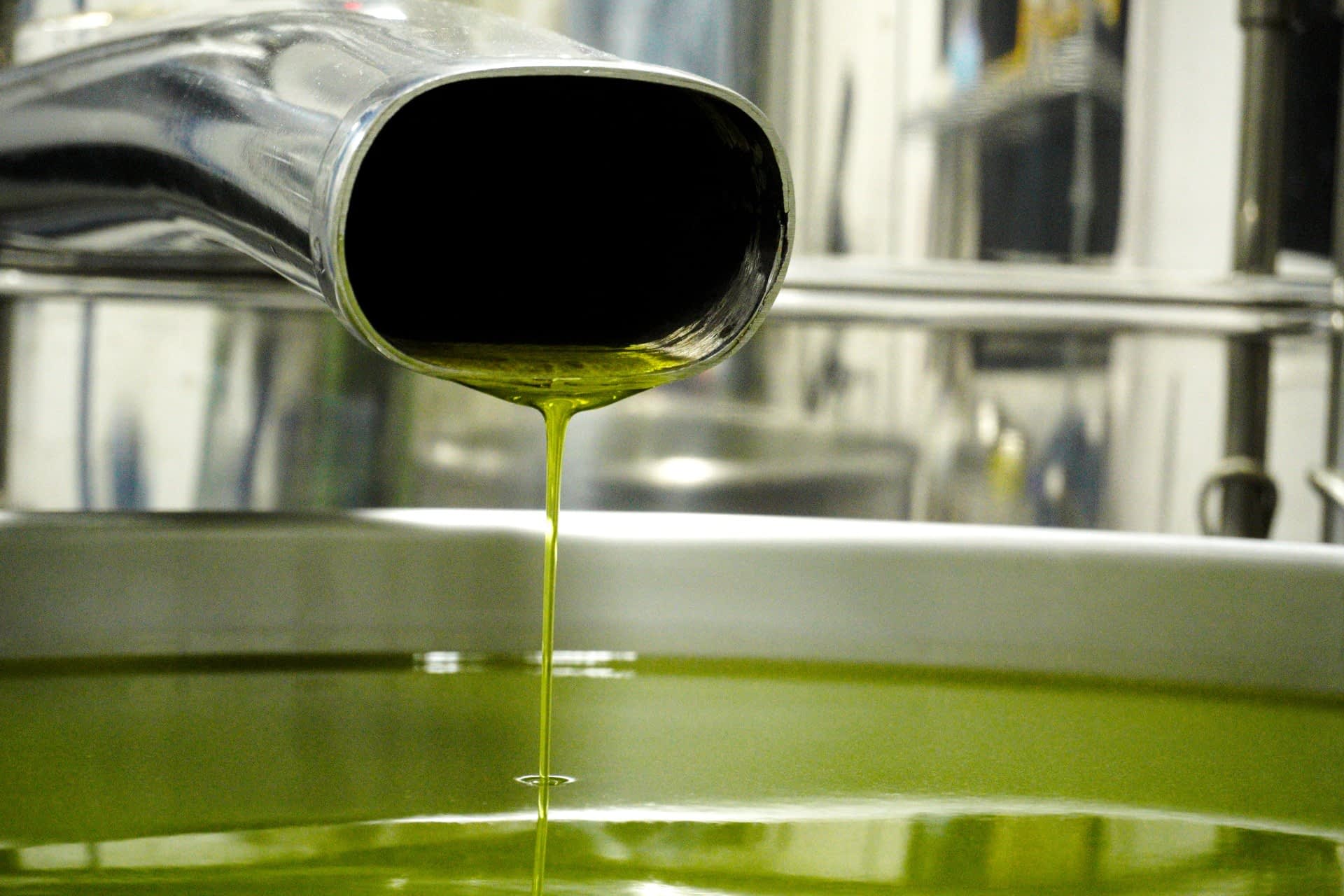 perfiles-la-mejor-producción-de-aceites-de-oliva-américa-del-sur-el-mayor-productor-de-brasil-celebra-una-cosecha-triunfante-tiempos-del-aceite-de-oliva