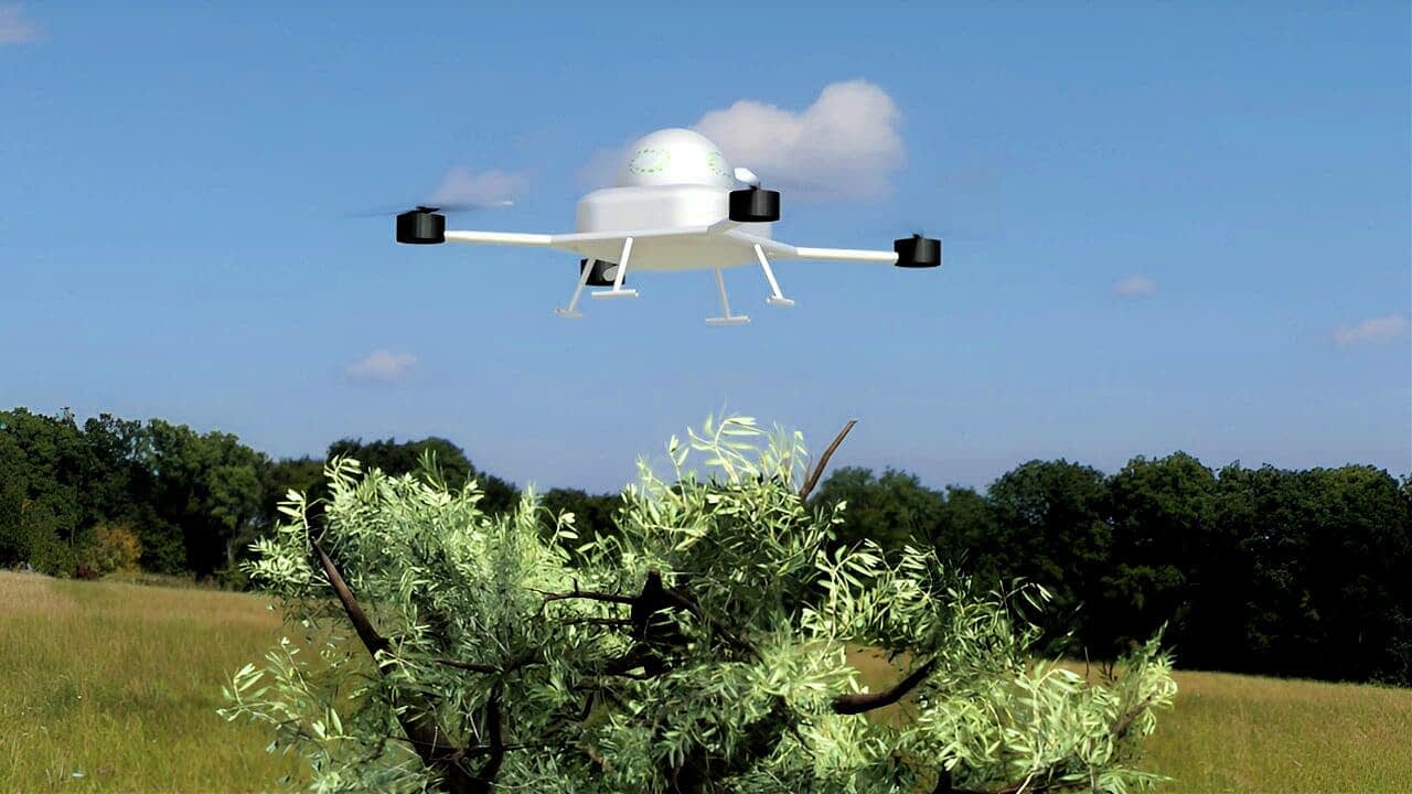 negócios-europeus-agricultores-na-croácia-vêem-tempos-promissores-de-uso-de-drones-azeite-de-oliva