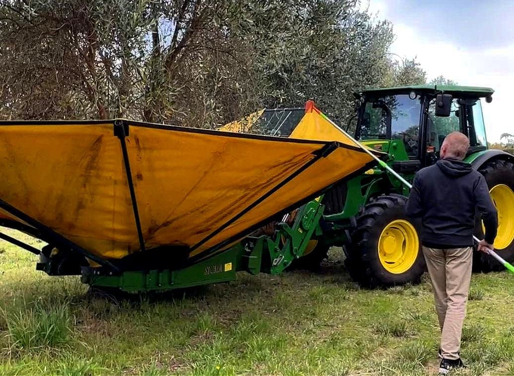 les-entreprises-de-production-australie-et-les-agriculteurs-de-nouvelle-zélande-en-australie-attendent-avec-impatience-une-récolte-abondante-de-l'huile-d'olive