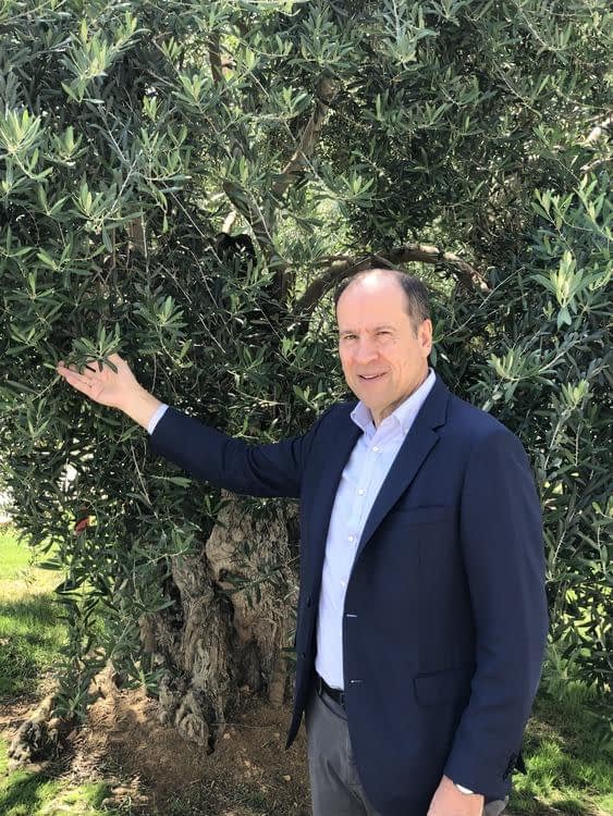 world-profiles-north-america-goya-spain-gm-says-the-global-olive-oil-sector-potential-lies-with-young-consumers-olive-oil-times