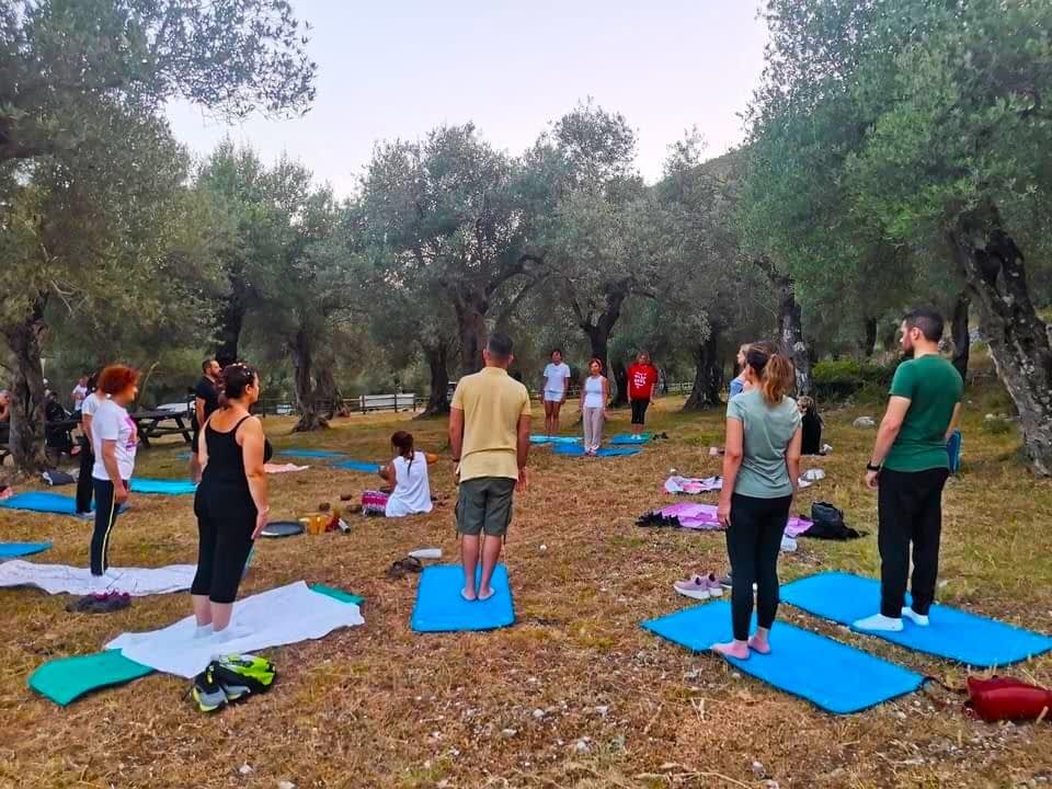 health-news-business-europe-lucky-olive-tree-leads-mindfulness-sessions-in-italy-olive-oil-times