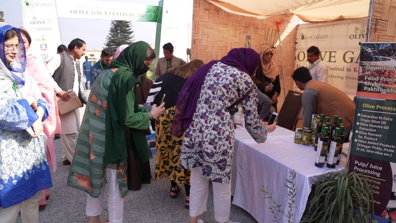 trade-events-business-asia-festivals-and-conferences-build-momentum-for-pakistani-olive-oil-sector-olive-oil-times
