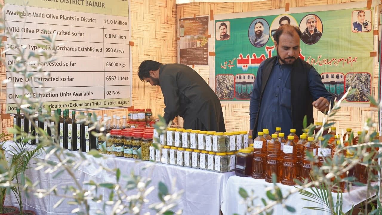 trade-events-business-asia-festivals-and-conferences-build-momentum-for-pakistani-olive-oil-sector-olive-oil-times