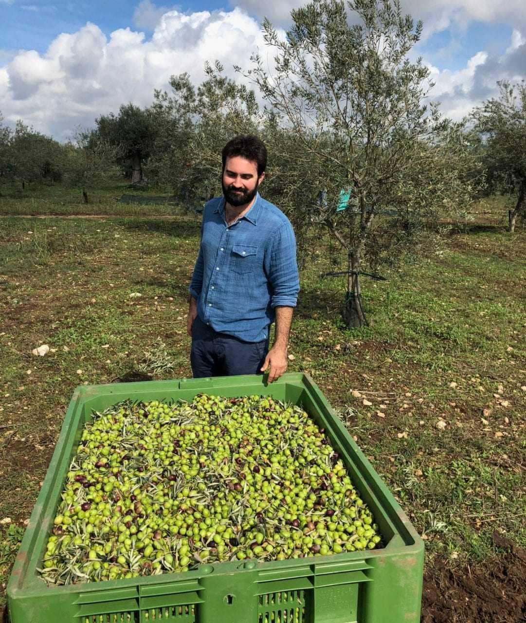 Profile-die-besten-Olivenöle-dieser-Olivenöl-Importeur-weiß-wie-man-Gewinner-Olivenöl-Zeiten zu finden