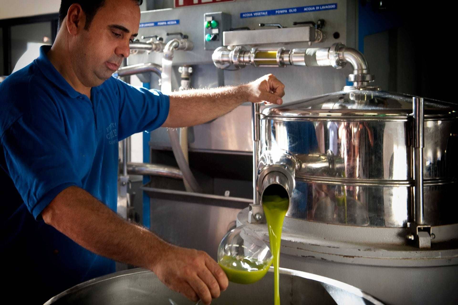 Profile-die-besten-Olivenöle-dieser-Olivenöl-Importeur-weiß-wie-man-Gewinner-Olivenöl-Zeiten zu finden