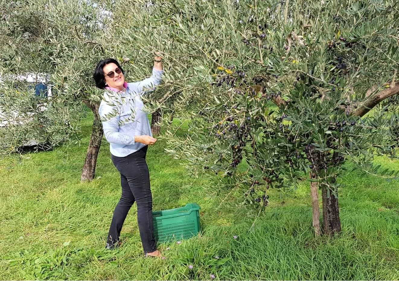 concours-des-meilleures-huiles-d-olive-europe-les-producteurs-croates-celebrent-87-victoires-au-concours-mondial-olive-oil-times
