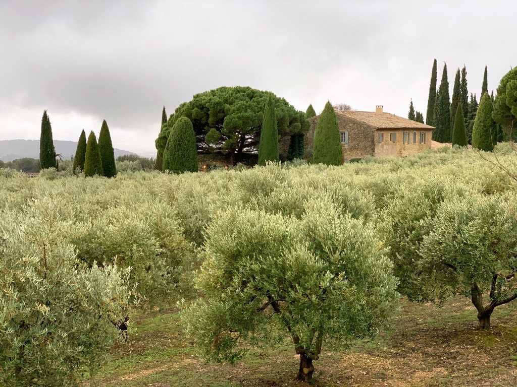 europa-weltprofile-die-besten-olivenölwettbewerbe-rekordjahr-fur-franzosische-produzenten-bei-weltolivenölwettbewerb-olivenölzeiten