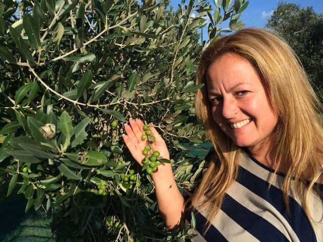 Европа-лучшие-конкурсы-оливкового-масла-тосканские-производители-оливкового-масла-выдающиеся-в-мире-конкуренция-оливковое-масло-время