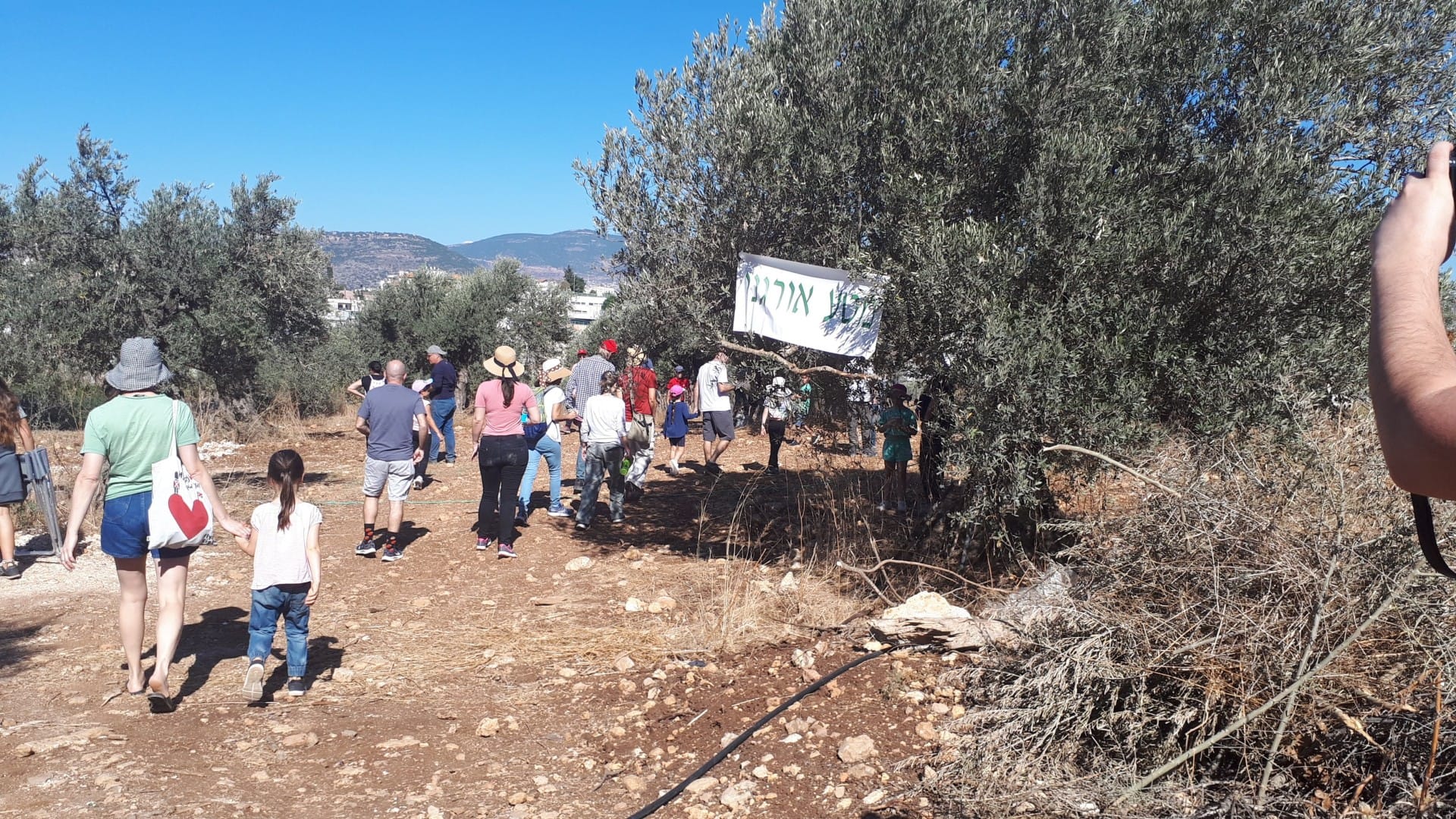 africa-middle-east-profiles-bringing-palestinians-and-israelis-together-through-olive-oil-production-olive-oil-times