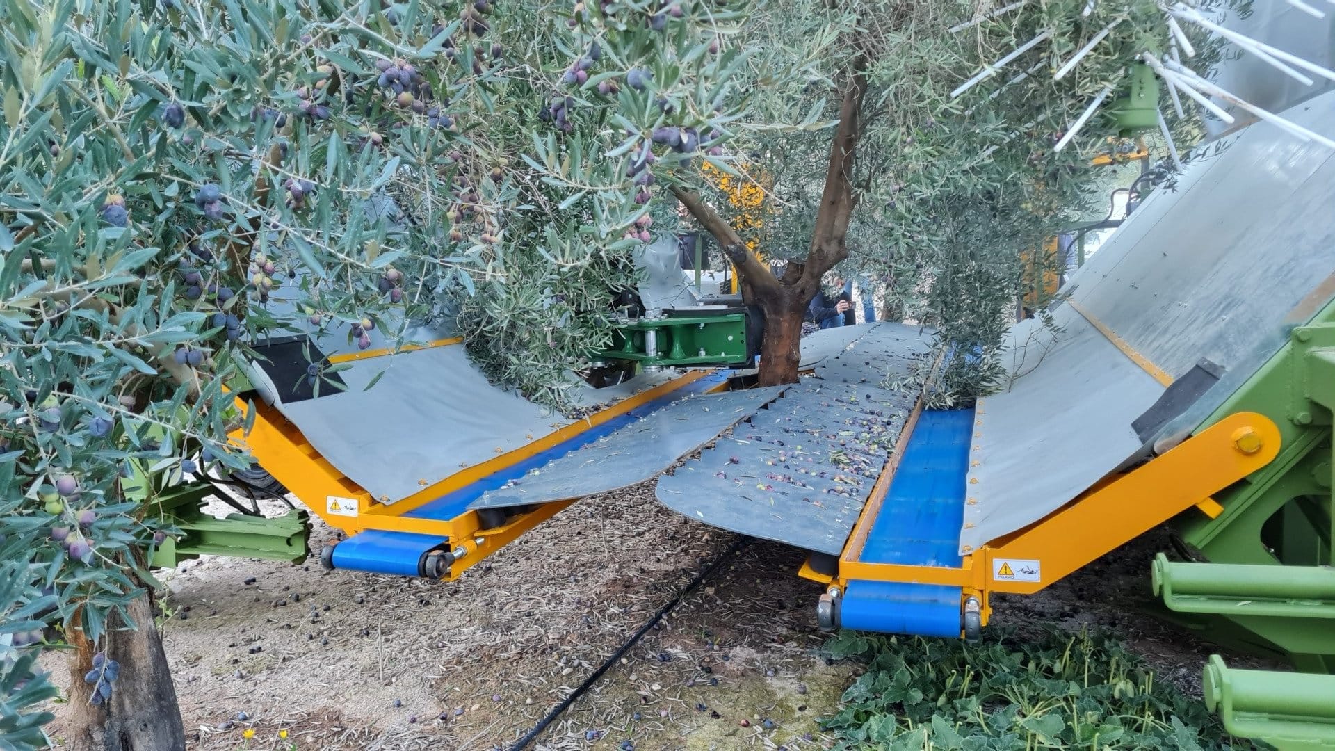 europe-production-business-researchers-unveil-the-latest-technologies-to-help-harvest-and-produce-olive-oil-olive-oil-times