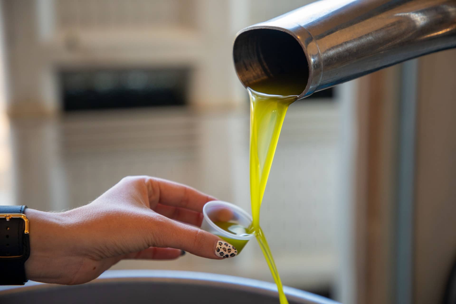 nordamerika-profile-die-beste-olivenölproduktion-bei-pasolivo-olivenölproduktion-ist-kunst-und-wissenschaft-olivenöl-zeiten
