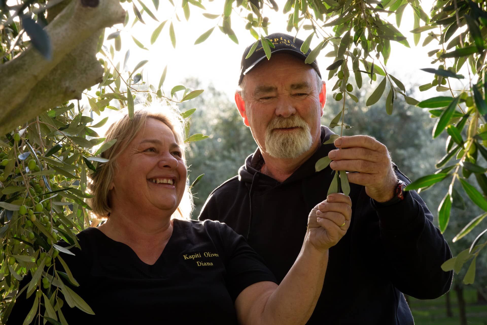 Австралия-и-Новая-Зеландия-лучшие-конкурсы-оливкового масла-производство-новой-зеландии-производители-наслаждайтесь-сильным-показом-на-мировой-конкуренции-времени-оливкового-масла