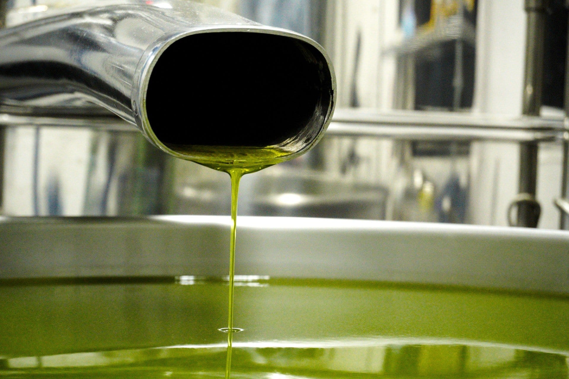 južna-amerika-profili-najboljše-proizvodnje-olivnega-olja-brazilije-največji-proizvajalec-praznuje-zmagoslavno-žetev-olivnega-olja-časi