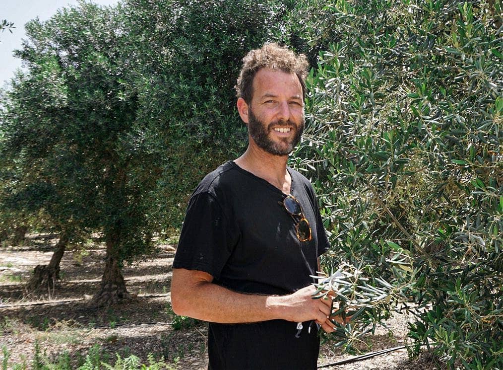afrique-moyen-orient-les-meilleurs-concours-d-huiles-d-olive-production-les-producteurs-israéliens-célébrent-l-année-record-au-concours-mondial-olive-oil-times