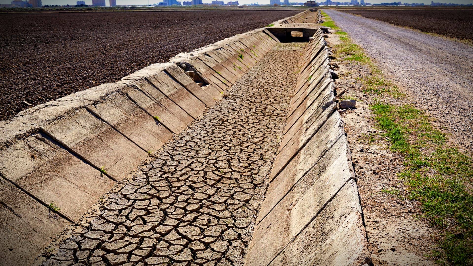 avrupa-iş-avrupa-yüzleşmeleri-500 yılın en kötü-kuraklığı-yetkililer-zeytinyağı-zamanları diyor