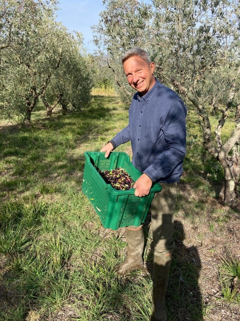 europa-die-besten-olivenöle-wettbewerbe-produktionszeiten-von-oliven