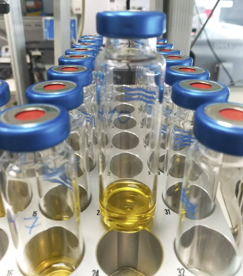 raziskovalci-olivnega-olja-v-španiji-raziskujejo-pozitivne-organoleptične-lastnosti-olivnega-olja-evoo