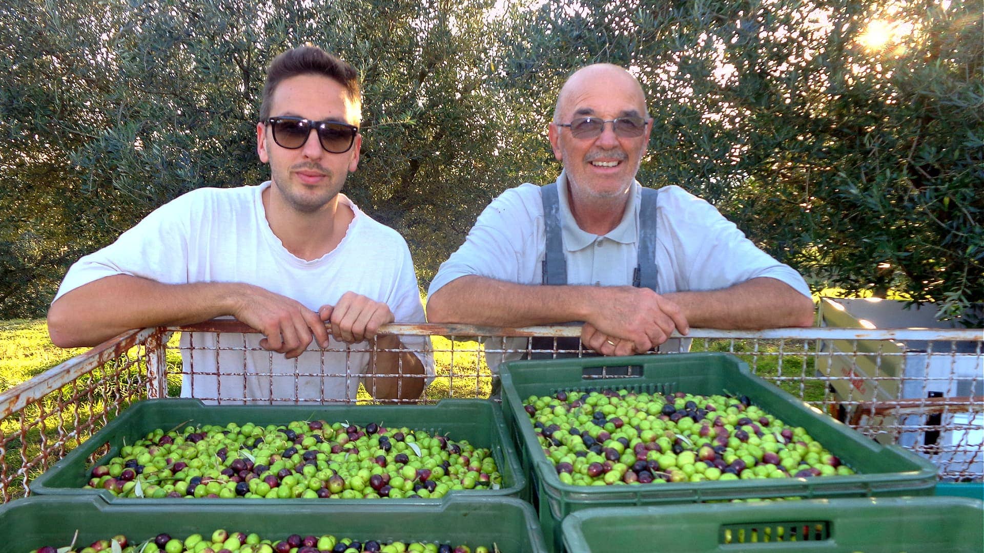 profiles-production-in-slovenia-a-fruitful-harvest-despite-drowt-pests-olive-oil-times