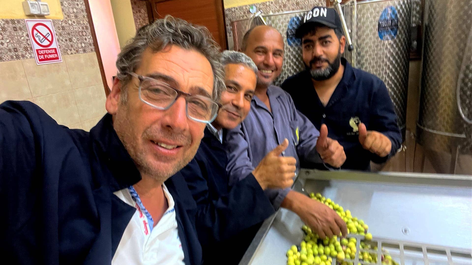 profiles-the-best-olive-oils-domaine-adonis-bets-on-traditional-frchards-and-organic-production-olive-oil-times