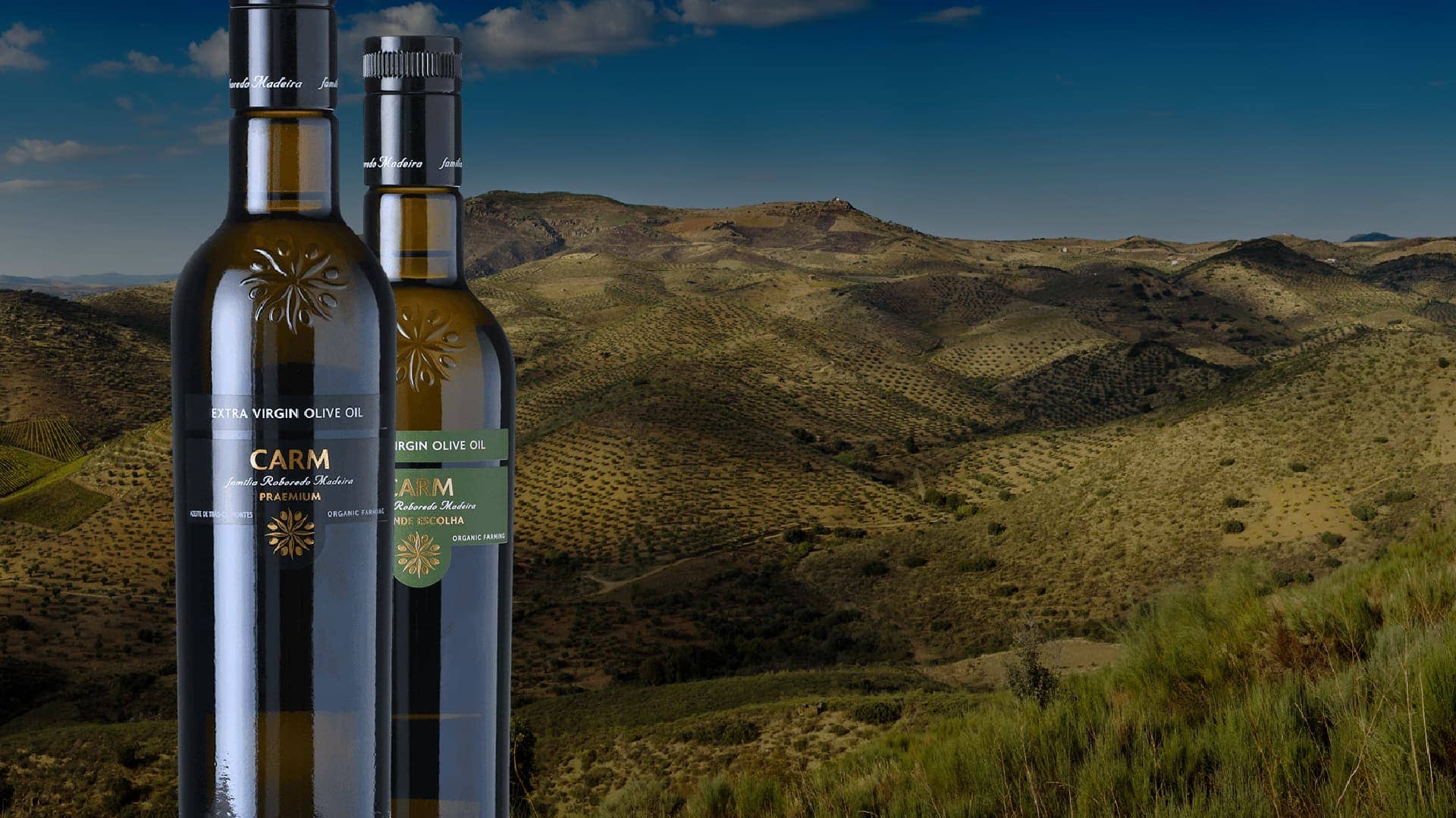 簡介-carm-用高端橄欖油和葡萄酒-橄欖油時代來慶祝區域風味
