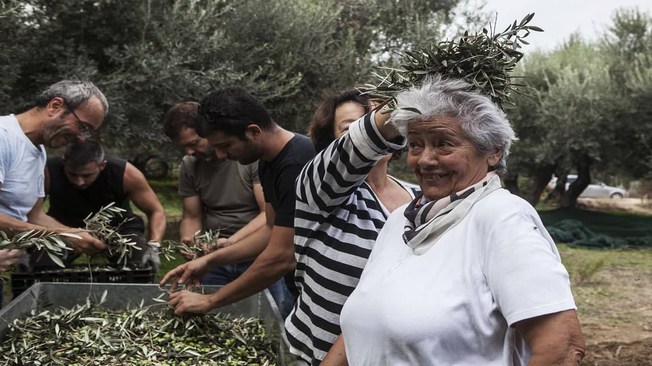 europe-les-meilleures-concours-d-huiles-d-olive-production-soutenue-par-une-récolte-abondante-prix-élevés-les-producteurs-grecs-célébrent-une-forte-présentation-à-new-york-olive-oil-times