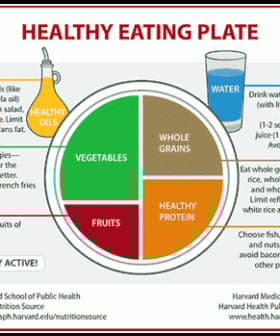 Diagram illustrating the Harvard Healthy Eating Plate with sections for vegetables, fruits, whole grains, and healthy protein. - Olive Oil Times