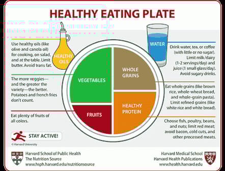 Diagram illustrating the Harvard Healthy Eating Plate with sections for vegetables, fruits, whole grains, and healthy protein. - Olive Oil Times