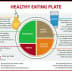 Diagram illustrating the Harvard Healthy Eating Plate with sections for vegetables, fruits, whole grains, and healthy protein. - Olive Oil Times