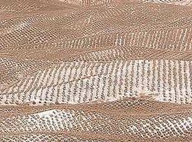 Aerial view of olive tree fields arranged in rows in Jaén, Spain. - Olive Oil Times