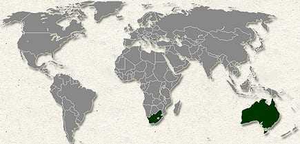 World map with Australia highlighted in dark green on the southeastern coast. - Olive Oil Times